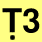Ṭ3