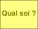 Qual soi&nbsp;?